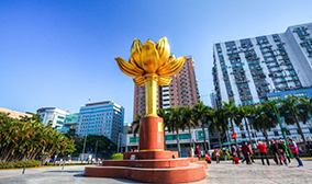 金陵芒果体育