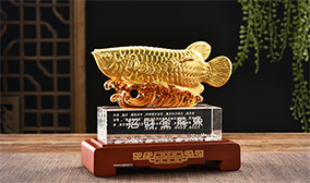 金陵芒果体育